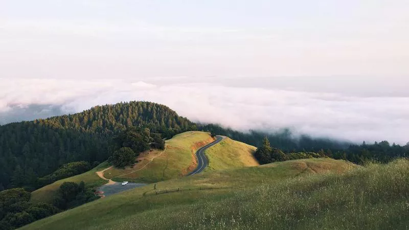 Lẩu Cua Đồng: Ấm Lòng Ngày Đông