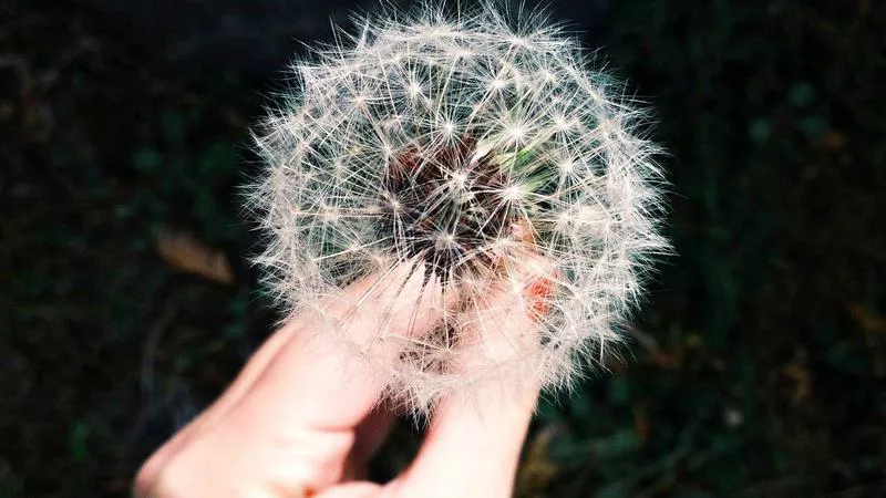 Kiên Giang: Bắt giữ 3 đối tượng tàng trữ trái phép vũ khí quân dụng, hé lộ đường dây tiềm ẩn?