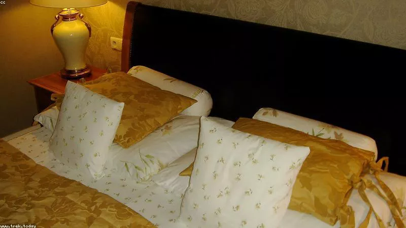 Mua Bán Người ở Long An: Tìm Kiếm Nạn Nhân Diệu