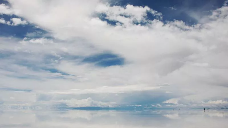 Ruốc Tép Quảng Ninh: Cách Làm Ngon Tại Nhà
