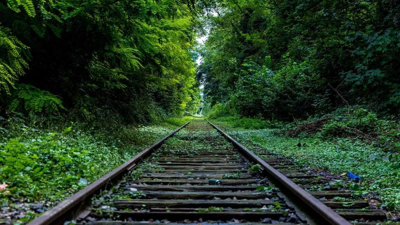 Vụ án Lai Châu: Bạo lực quán ăn, cần phòng ngừa!