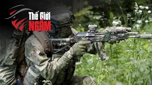Vai Trò Của NEFIS Trong Bức Tranh Lớn Hơn Của Thế Giới