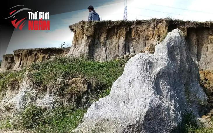 Thanh tra cấp sở và sự thay đổi trong chỉ tiêu giám sát