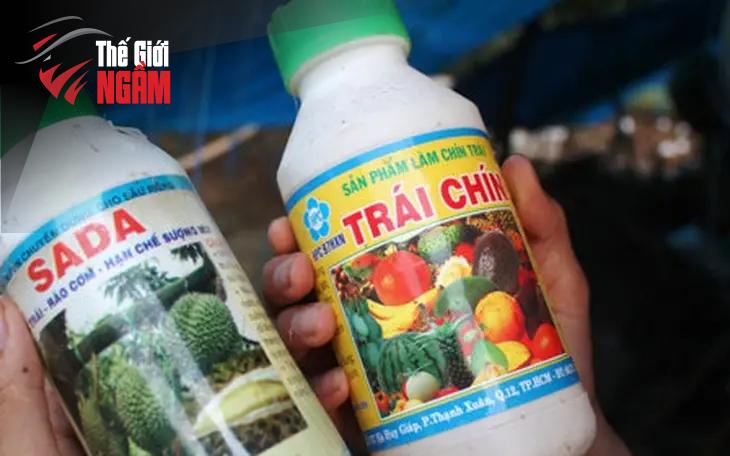 Tác động của vụ buôn lậu đến thị trường sầu riêng