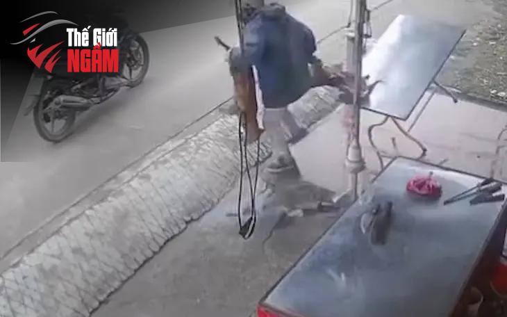 Hệ Lụy Từ Những Vụ Trộm Chó