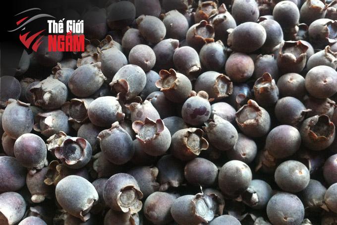Khám Phá Những Tác Dụng Bất Ngờ Của Rượu Sim Đối Với Sức Khỏe