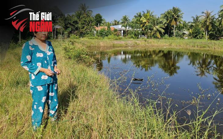 Vụ Bồi Thường 1,2 Tỷ Đồng: Tiền Lệ Quan Trọng Cho Các Vụ Tranh Chấp Bảo Hiểm