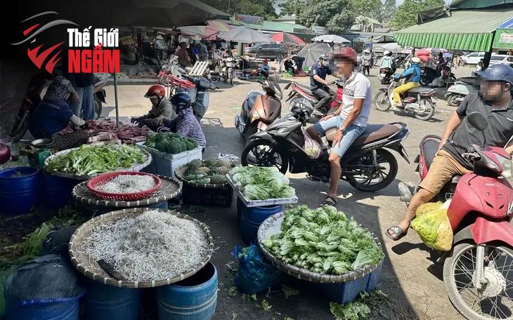 Giá Đỗ
