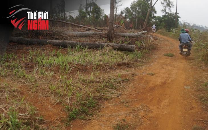 Vụ Vạn Thịnh Phát: Ứng Dụng VNeID Trong Quá Trình Thi Hành Án