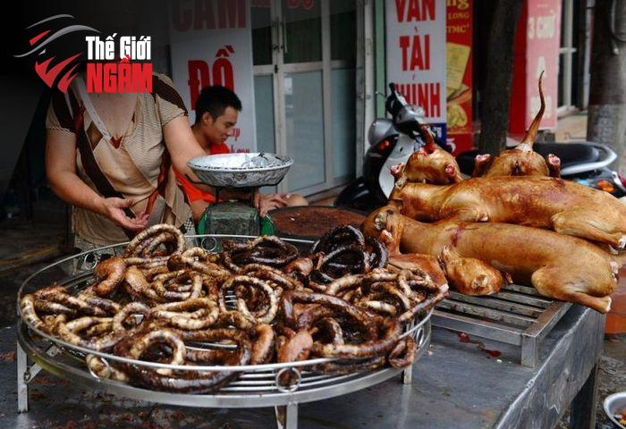 3. Thịt Chó: Món Ăn Gây Tranh Cãi