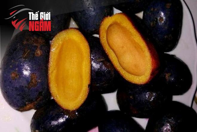 Tổng hợp hương vị Phú Thọ qua những món đặc sản khó quên