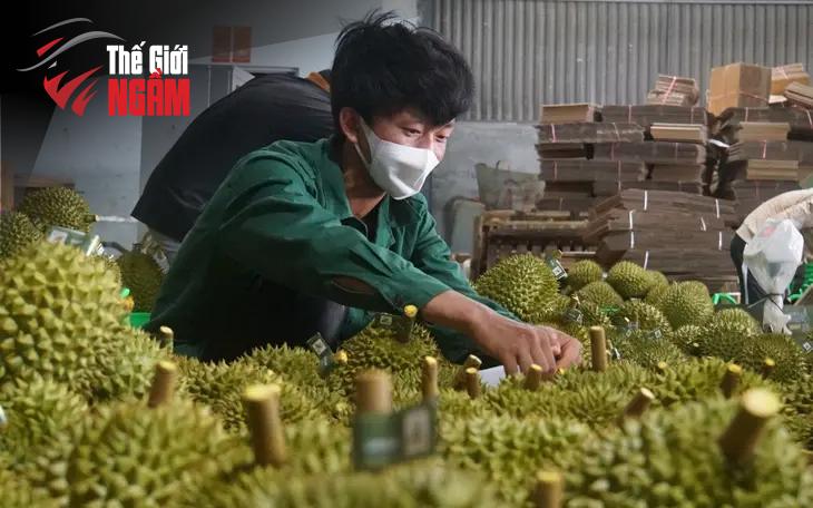 3. Nguyên Nhân Dẫn Đến Tình Trạng Tin Giả Về Sầu Riêng