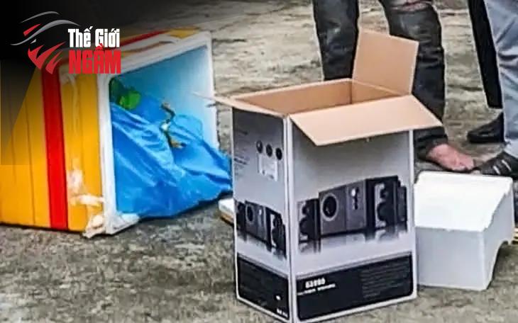Bình Phước Kiên Quyết Chống Ma Túy: Quyết Tâm Triệt Phá Tội Phạm