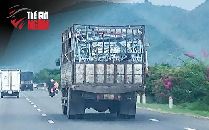 Phân Tích Pháp Lý: Cần Làm Rõ Hành Vi Bán Tài Sản Sau Cưỡng Chế