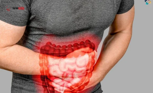 Rượu sim Phú Quốc - tác dụng, cách ngâm và lợi ích sức khỏe